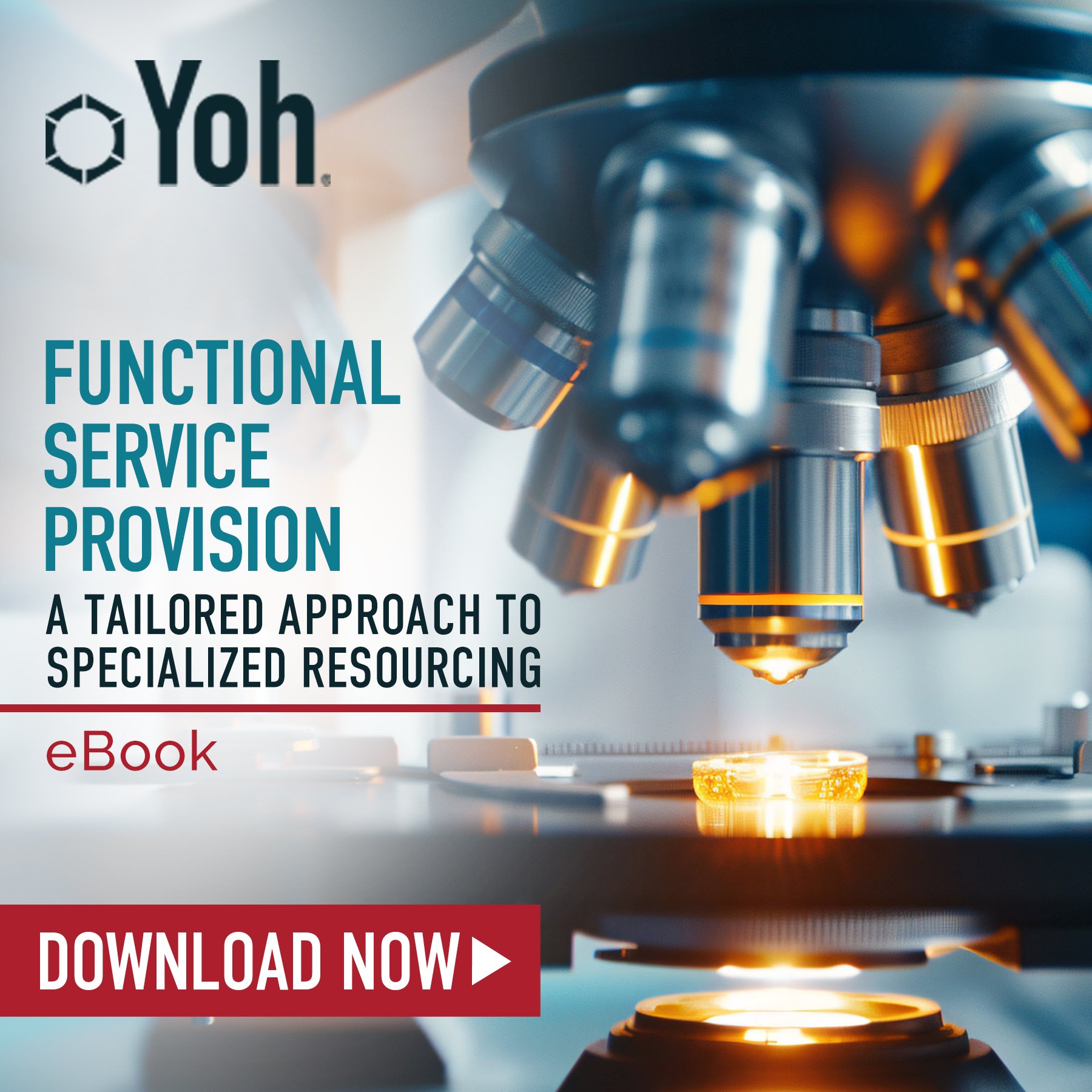 2025 FSP eBook Blog CTA